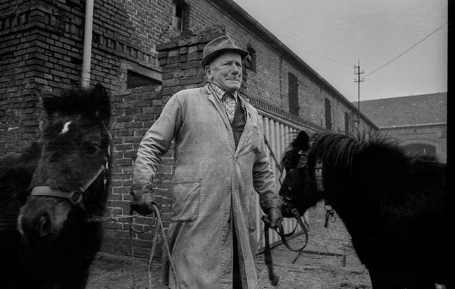 Bauernhof Deutschland, Kampehl, 01.02.1992, Bauer mit zwei Pferden, Ponys, in Kampehl, Â *** Farm Germany, Kampehl, 01 02 1992, farmer with two horses, ponies, in Kampehl, Â