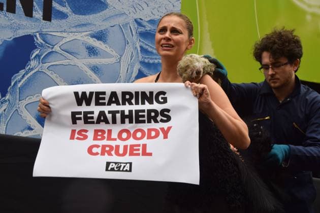February 21, 2025, London, England, UK: A PETA activist dressed as an ostrich has her feathers violently plucked outside the London Fashion Week NEWGEN show space on The Strand. The action is part of the ongoing PETA campaign against the use of feathers in fashion. London UK - ZUMAv130 20250221_zip_v130_003 Copyright: xVukxValcicx