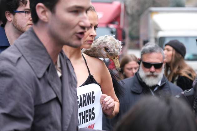 Ostrich violently plucked outside London Fashion Week NewGen Showcase during a PETA protest, London, 21 February 2025 Animal-rights non-profit group PETA (People for the Ethical Treatment of Animals) stages a protest outside 180 Studios, in London, where the British Fashion Council s NewGen Showcase takes place as part of London Fashion Week, 21 February 2025. PETA demands that the cruel feather industry be banned., Credit:Seiya Tanase Avalon  Copyright: xSeiyaxTanasex xAvalonx 0966958530