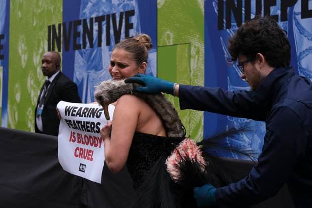 Ostrich violently plucked outside London Fashion Week NewGen Showcase during a PETA protest, London, 21 February 2025 Animal-rights non-profit group PETA (People for the Ethical Treatment of Animals) stages a protest outside 180 Studios, in London, where the British Fashion Council s NewGen Showcase takes place as part of London Fashion Week, 21 February 2025. PETA demands that the cruel feather industry be banned., Credit:Seiya Tanase Avalon  Copyright: xSeiyaxTanasex xAvalonx 0966964593