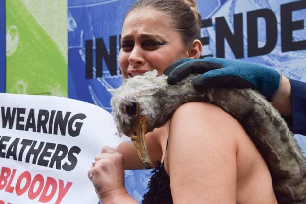 February 21, 2025, London, England, UK: A PETA activist dressed as an ostrich has her feathers violently plucked outside the London Fashion Week NEWGEN show space on The Strand. The action is part of the ongoing PETA campaign against the use of feathers in fashion. London UK - ZUMAv130 20250221_zip_v130_019 Copyright: xVukxValcicx