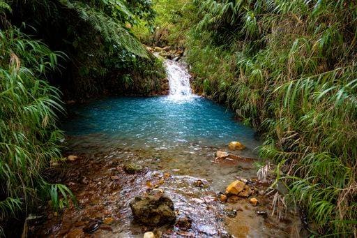 A natural pool with turquoise water surrounded by lush green foliage in Soufriere, Saint Lucia 28337532 RECORD DATE NOT STATED