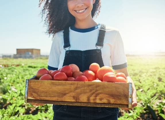 Creative Highlights Symbolfotos Agriculture, woman and tomato harvest in crate for organic produce, sustainable business and crops industry. Farmer, person and happy with vegetable box for supply chain and eco friendly gardening. model released property released Copyright: xwww.peopleimages.comx