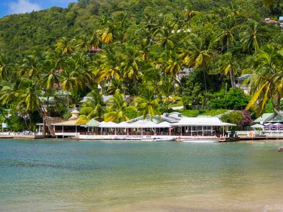 Scenic view of Marigot Bay in St Lucia with lush greenery and palm trees along the coastline, AMF10040