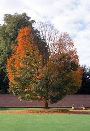Apeldoorn, Paleis Het Loo Apeldoorn, Paleis Het Loo Copyright: imageBROKER FlorianxMonheim iblflm12717954.jpg