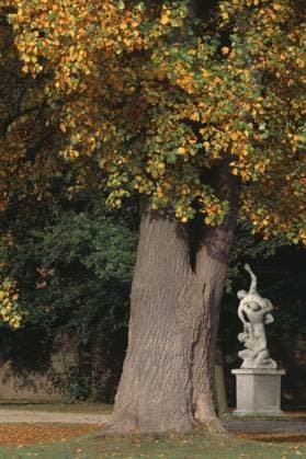 Apeldoorn, Paleis Het Loo Apeldoorn, Paleis Het Loo Copyright: imageBROKER FlorianxMonheim iblflm12717966.jpg