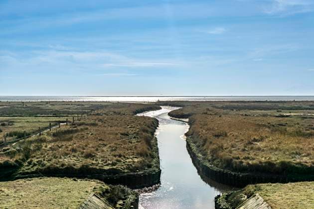 Die Ostfriesische Nordseeinsel Juist im Winter, Marschwiesen im Westen der Insel, Ruhezone im Nationalpark, zur Wattenmeer Seite hin, Niedersachsen, Deutschland Juist Winter *** The East Frisian North Sea island of Juist in winter, marsh meadows in the west of the island, quiet zone in the national park, facing the Wadden Sea, Lower Saxony, Germany Juist winter
