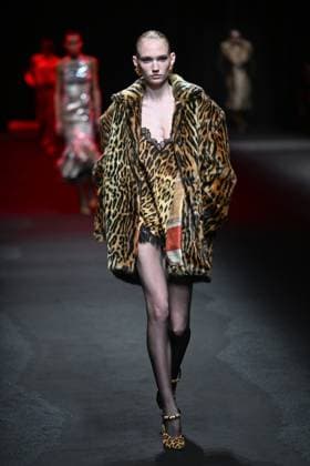 Milan, Italy: Milan, Milan Women s Fashion Week: Fall Winter 2025 - Women s Fashion, Fall Winter 2025.- Roberto Cavalli fashion show - catwalk in the photo: model Milan Italy  - ZUMAp169 20250228_zea_p169_021 Copyright: xSimonaxChiocciax