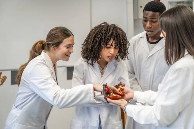 Eine Gruppe von Medizinstudenten untersucht ein Modell des menschlichen Herzens und lernt dabei Anatomie an einer Universität Diverse group of medical students examining a model of a human heart, learning anatomy in a university setting Copyright: imageBROKER UnaixHuizi ibxuhu12778514.jpg ,model released, Symbolfoto ,property released
