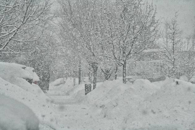 Heavy Snow Falling In Toronto, Canada Heavy snow falls in Toronto, Ontario, Canada, on February 27, 2025. Toronto Ontario Canada  Copyright: xCreativexTouchxImagingxLtdx originalFilename: friedman-heavysno250227_npZFl.jpg