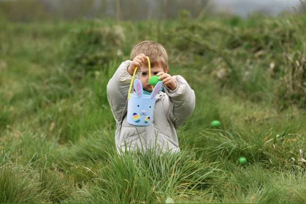 IMAGO Creative, Ostern, Bräuche, Eiersuche #2 Boy collects the eggs in a basket Easter, model released, , 51807768.jpg, April, baby, bag, band, basket, boy, bunny, Catholic, celebrate, child, childhood, children, chocolate, christianity, collect, collecting, cute, ears, easter, egg, eggs, feast, festive, find, food, forest, game, garden, gathering, gift, grass, green, growth, happy, hare, hidden, hunt, kid, kids, lawn, little, nature, park, picking, play, rabbit, search, seek, spring, tradition RECORD DATE NOT STATED