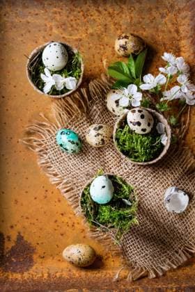 Colorful Easter quail eggs Decor colorful Easter quail eggs with spring cherry flowers and moss in small garden pots on sackcloth over rusty metal background. Dark rustic style. Top view with copy space. Copyright: xZoonar.com NatashaxBreenx 22981076