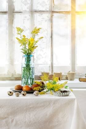 Easter decorated table Prepare to Easter. White tablecloth table decorated by colored brown chicken and quail eggs with yellow flowers with window as background. Day light. Copyright: xZoonar.com NatashaxBreenx 22985762