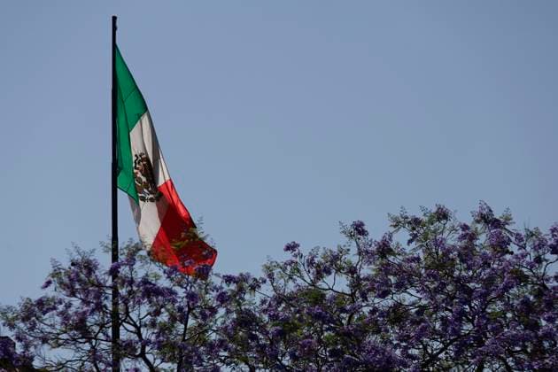 Claudia Sheinbaum, President Of Mexico, Offered A Message At The Zocalo In Mexico City, Where She Presented A Strategy To Strengthen The Economy With The United States A Mexican flag is visible among jacaranda trees in Mexico City, Mexico, on March 9, 2025. Mexico City Mexico City Mexico  Copyright: xGerardoxVieyrax originalFilename: vieyra-notitle250309_npp8d.jpg