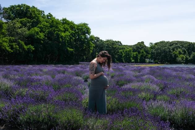 Creative Highlights Symbolfotos Maternity photo of Elder Millennial Woman in field of Lavender New York, New York, United States R_UTHC250310B-1653240-01 ,model released, Symbolfoto