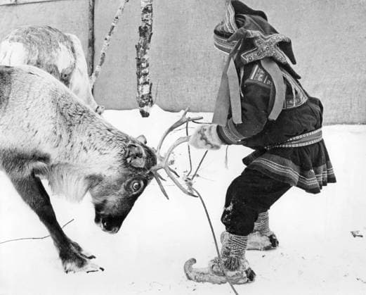 Sami in Schwedisch Lappland 1963. Ein Junge mit einem Rentier, das er an den Hörnern festhält Sami people in Swedish Lapland 1963. A boy with a reindeer that he holds on to by its horns Copyright: imageBROKER Sjoberg ibljsj12887070.jpg