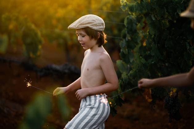 Creative Highlights Symbolfotos MR_ID26958_20132_LeoBosquetCarli.jpg, MR_ID26958_20133_MayaBosquetCarli.jpg A young boy holds a sparkler in a sunlit vineyard, evoking a sense of carefree joy and childhood adventure. The golden light adds warmth to this enchanting, nostalgic scene. Model Released MagdalenaCarli_ID26958_778103_002 Copyright: xMagdalenaxCarlix