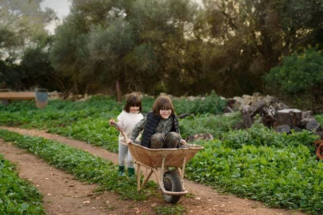 Two joyous children play with a wheelbarrow on a lush path. One sits inside while the other pushes, surrounded by greenery and a tranquil, natural setting. Model Released MagdalenaCarli_ID27206_782424_001 Copyright: xMagdalenaxCarlix