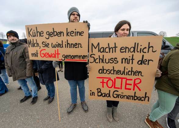 News Themen der Woche KW11 News Bilder des Tages 14.03.2025, Bad Grönenbach im Allgäu, eine Demonstration, veranstaltet von SOKO-Tierschutz gegen Tierquälerei auf einem Vieh-Großbetrieb in Bad Grönenbach, der durch SOKO-Tierschutz-Recherche wegen Tierquälerei von Milchvieh aktuell schwer belastet wurde. 14.03.2025, Tierschutz Demo Bad Grönenbach 14.03.2025, Tierschutz Demo Bad Grönenbach *** 14 03 2025, Bad Grönenbach in the Allgäu, a demonstration organized by SOKO Tierschutz against animal cruelty on a large livestock farm in Bad Grönenbach, which has currently been heavily incriminated by SOKO Tierschutz research due to animal cruelty of dairy cattle 14 03 2025, animal protection demonstration Bad Grönenbach 14 03 2025, animal protection demonstration Bad Grönenbach