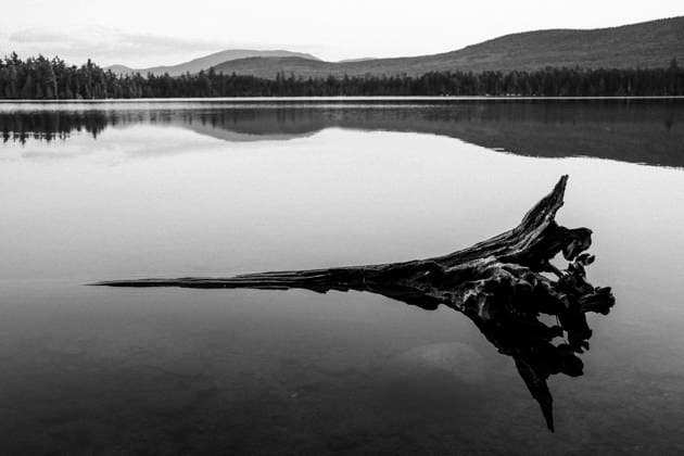 Creative Highlights World Old submerged log on peaceful tranquil lake in Maine Greenville, Maine, United States CR_SSNF250313-1537818-01