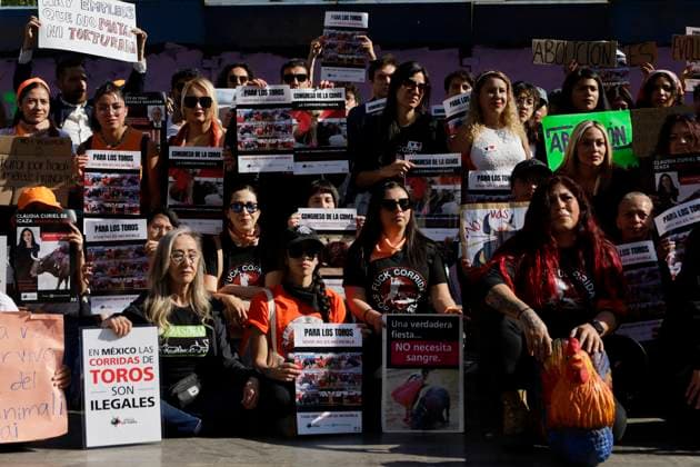 Historic: Mexico City Congress Approves Resolution Banning Violent Bullfighting Animal rights activists gather at the Juarez Hemicycle in Mexico City, Mexico, on March 18, 2025, to celebrate the approval by the Mexico City Congress of the ruling banning violent bullfights, following an initiative submitted by Mayor Clara Brugada. Mexico City Mexico City Mexico  Copyright: xGerardoxVieyrax originalFilename: vieyra-notitle250318_np2ss.jpg