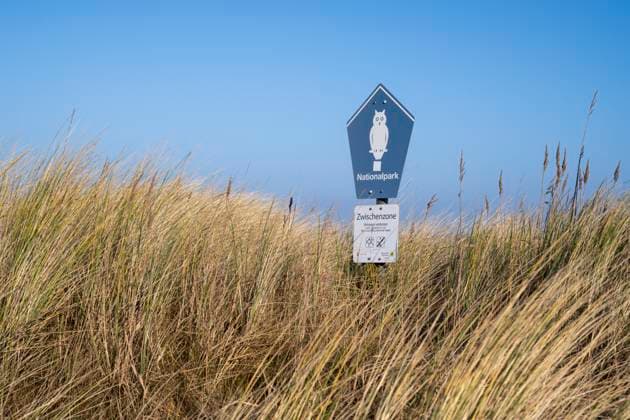 Nationalpark, Zwischenzone, Schild in den Dünen, Schilfrohr, Nationalpark Niedersächsisches Wattenmeer, UNESCO Weltnaturerbe, Nordsee, Cuxhaven, Niedersachsen, Deutschland, Europa *** National Park, Intermediate zone, Shield in the Dunes, Reed, National Park Lower Saxony Wadden Sea, Unesco World Heritage Site, North Sea, Cuxhaven, Lower Saxony, Germany, Europe 1100404638
