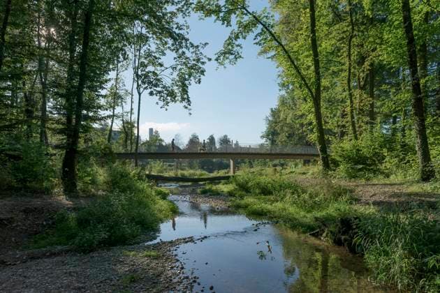 REVITALISIERUNG MURG AUEN PARK Die Murg fliesst am Mittwoch (24.08.16) durch den Murg Auen Park in Frauenfeld. Thurgau Schweiz Suisse Svizzera Switzerland *** REVITALIZATION MURG AUEN PARK The river Murg flows through the Murg Auen Park in Frauenfeld Thurgau Switzerland Switzerland Svizzera Switzerland on Wednesday 24 08 16  Copyright: Ex-PressxMarkusxFortex MFO20160824_003