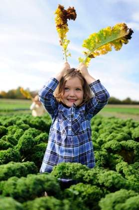 Creative Highlights Symbolfotos Girl in a kali field, leaves as rabbit ears model released, Symbolfoto, ECPF00780