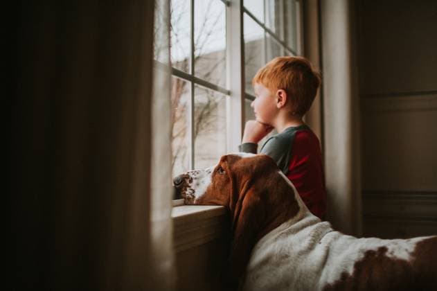 Creative Highlights Symbolfotos Basset hound dog sits with 3 year old boy looking out window Grimes, Iowa, United States CR_LIPF250323-1690431-01 ,model released, Symbolfoto