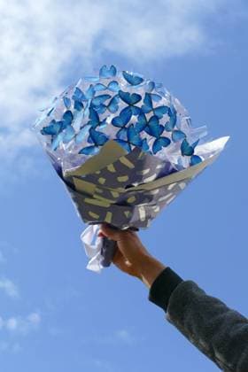 Creative Highlights Symbolfotos Man s Hand Lifting Unique Butterfly Bouquet to the Sky Wroc?aw, Lower Silesian Voivodeship, Poland R_NOBX250322-1690333-01 ,model released, Symbolfoto