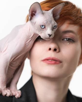 Creative Highlights Symbolfotos Playful Sphynx Cat standing on shoulder of redhead woman and gently pressed against her face Playful Sphynx Cat standing on shoulder of redhead woman and gently pressed against her face ,model released, Symbolfoto Copyright: xZoonar.com AlexanderxA.xPiragisx 23034976 ,model released, Symbolfoto ,property released