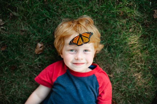 Creative Highlights Symbolfotos Butterfly rests on toddlers head laying in the grass Grimes, Iowa, United States CR_LIPF250319-1686988-01 ,model released, Symbolfoto
