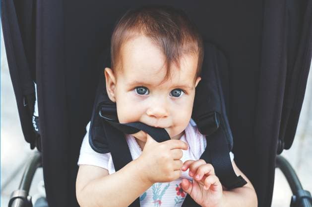 Creative Highlights Symbolfotos Ein Baby mit blauen Augen sitzt in einem Kinderwagen, kaut auf dem Sicherheitsgurt und erkundet neugierig die Welt Ein Baby mit blauen Augen sitzt in einem Kinderwagen, kaut auf dem Sicherheitsgurt und erkundet neugierig die Welt ,model released, Symbolfoto Copyright: xZoonar.com EvgeniiaxGordeevax 23090686 ,model released, Symbolfoto ,property released