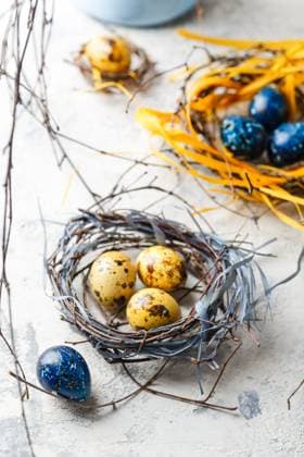 Ostereier im Vogel Nest. Quail Ostereier mit Federn im Nest auf weißem Tisch mit Kopierraum. Colored yellow and blue Easter quail eggs in small nests. Quail eggs for catholic and orthodox easter holiday. Shallow depth of field. Copyright: xZoonar.com BurakovaxIrinax 23129201