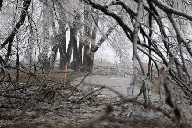 March 30, 2025, Innisfil, Ont, CANADA: Fallen trees in Innisfil Beach Park following a prolonged multi-day complicated weather system hitting Ontario with ice, freezing rain and snow - causing many tree branches and hydro wires to fall - leaving more than 250,000 without power through the region. Innisfil CANADA - ZUMAs109 20250330_zaf_s109_023 Copyright: xChristopherxDrostx
