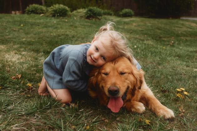 Creative Highlights Symbolfotos little girl hugging her golden retriever Beckley, West Virginia, United States CR_ZVBJ250108A-1624138-01 ,model released, Symbolfoto