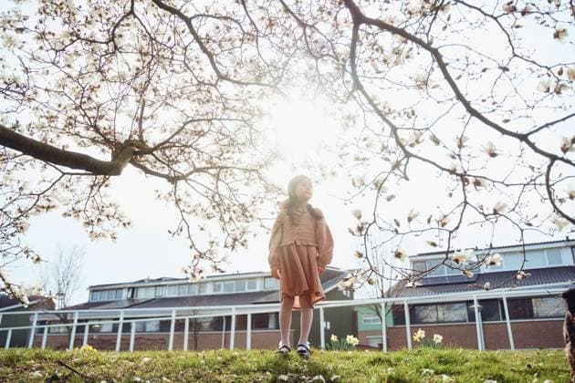 Creative Highlights Symbolfotos Little girl enjoy blooming magnolia trees Amsterdam, North Holland, Netherlands R_DIRA250401-1694784-01 ,model released, Symbolfoto