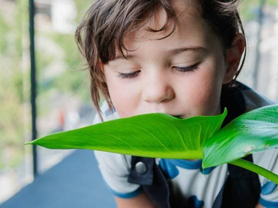 Creative Highlights Symbolfotos A young girl with tousled hair gently smells a large, shiny green leaf, capturing a moment of curiosity and interaction with nature. Model Released HodeiUnzueta_ID27448_788412_009 Copyright: xHodeixUnzuetax