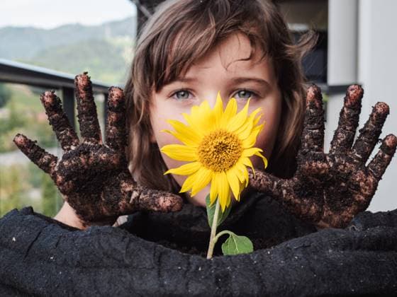 Creative Highlights Symbolfotos A young girl showcases her muddy hands while clutching a bright sunflower, symbolizing the connection between children and nature. Model Released HodeiUnzueta_ID27448_788473_037 Copyright: xHodeixUnzuetax