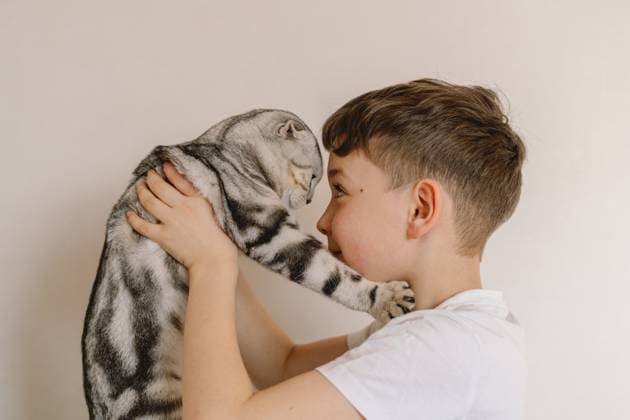 Creative Highlights Symbolfotos A young boy lovingly holds a Scottish Fold cat, its signature folded ears and unique coat on display. Their affectionate gaze highlights a tender human-animal bond. Model Released Nastyaofly_ID27859_800011_007 Copyright: xNastyaoflyx RECORD DATE NOT STATED
