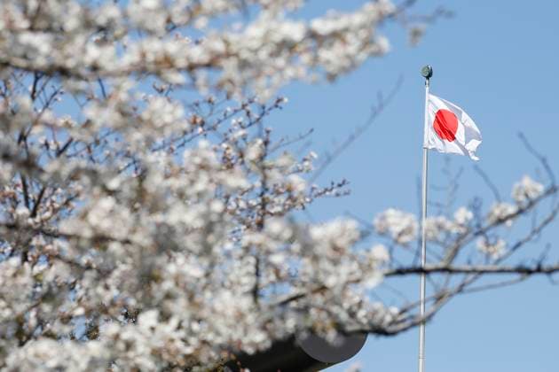 Japan s national flag is seen behind the cherry blossoms in full bloom at Chidorigafuchi Park on April 4, 2025, in Tokyo, Japan. On March 30, the Japan Meteorological Agency announced that cherry blossoms had begun flowering, a day earlier than average and five days earlier than last year.  , aflo_286659229.jpg,