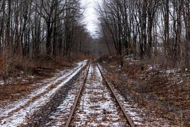 Abandoned railroad tracks in the woods Cressona, Pennsylvania, United States R_MALI250402A-1693860-01