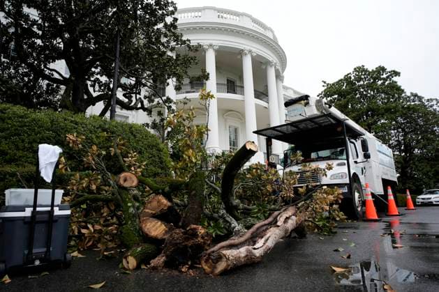 News Themen der Woche KW15 News Bilder des Tages Workers cut down the Andrew Jackson Commemorative Southern Magnolia tree on the South Lawn of the White House in Washington, DC on Monday, April 7, 2025. Pool  WAX20250407100 YurixGripas