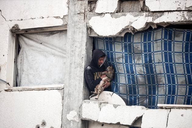 News Themen der Woche KW15 Daily Life In Gaza A displaced Palestinian young man plays with his cat inside a destroyed building due to Israeli airstrikes in Gaza City, on April 8, 2025. Gaza Palestine  Copyright: xMajdixFathix originalFilename: fathi-notitle250408_npzci.jpg