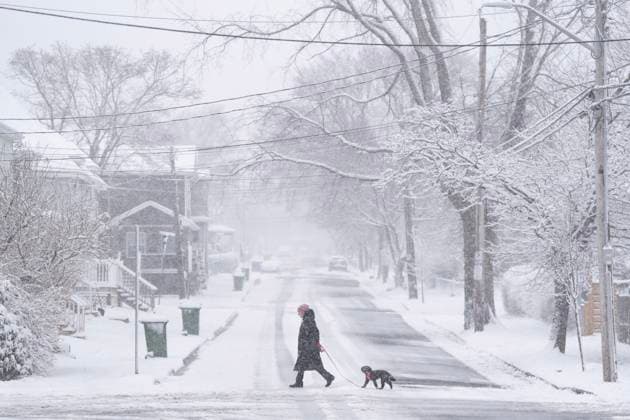 News Bilder des Tages April 8, 2025, Halifax, Ns, Canada: A pedestrian walks their dog across the street in Halifax during a spring snowstorm that closed schools and impacted travel across much of Nova Scotia on Tuesday, April 8, 2025. Halifax Canada  - ZUMAc35_ 20250408_zaf_c35_001 Copyright: xDarrenxCalabresex