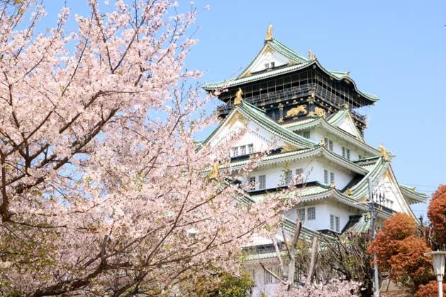 News Themen der Woche KW15 News Bilder des Tages April 9, 2025, Osaka, Japan - Osaka s landmark Osaka castle is seen behind fully bloomed cherry blossoms in Osaka, western Japan on Wednesday, April 9, 2025. (photo by Yoshio Tsunoda AFLO)  , aflo_287150215.jpg,