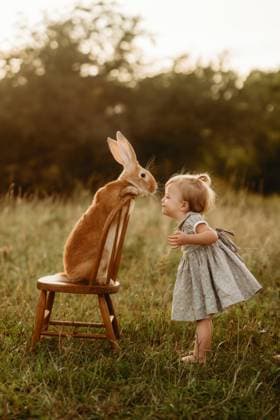 Creative Highlights Symbolfotos bunny kisses with toddler in field Beaver, West Virginia, United States CR_ZVBJ25010823-1624296-01 ,model released, Symbolfoto