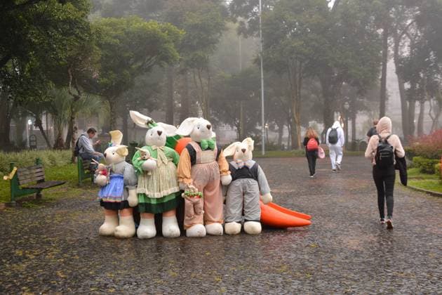 Entertainment Themen der Woche KW15 Entertainment Bilder des Tages CAXIAS DO SUL, RS - 09.04.2025: CLIMA _ TEMPO CAXIAS DO SUL - Climate weather images, autumn day, with cloudy sky, lots of fog, constant drizzle, temperature at 18ºC. Caxias do Sul, RS (08). x2719071x  AntônioxMachado