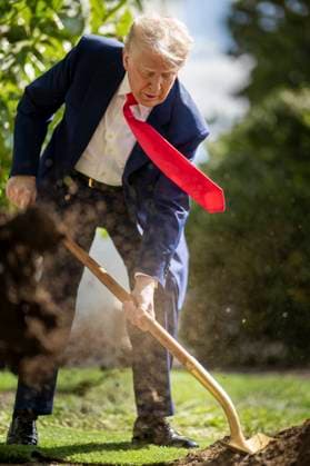 News Themen der Woche KW15 April 8, 2025, Washington, Dc, United States: U.S President Donald Trump, joins in a tree-planting ceremony at the South Portico of the White House, April 8, 2025 in Washington, D.C. The tree, a descendant sapling, is replacing the historic Jackson Magnolia tree planted in 1829. Washington United States - ZUMAp138 20250408_zaa_p138_035 Copyright: xDanielxTorok WhitexHousex