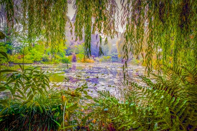 Giverny, France. Landscape view of Claude Monet s famous Japanese water garden  Copyright: xMurrayxMcCallumxPhotographyx x EU09 MMC0007